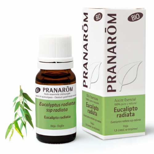 Pranarom aceite esencial eucaliptus radiata 10ml