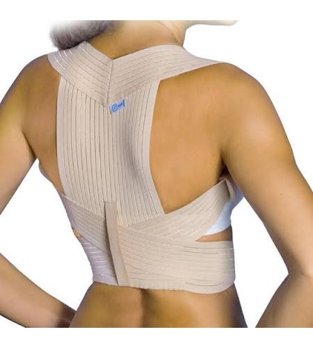 Espaldillera - prim confort 335 (t- s)